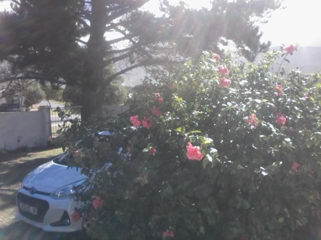 Self Catering Unit 6, Sandbaai Hermanus Buitenkant foto
