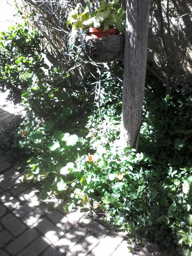 Self Catering Unit 6, Sandbaai Hermanus Buitenkant foto