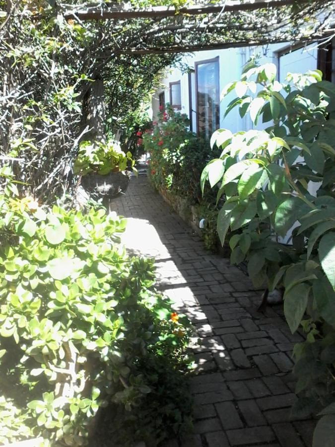 Self Catering Unit 6, Sandbaai Hermanus Buitenkant foto