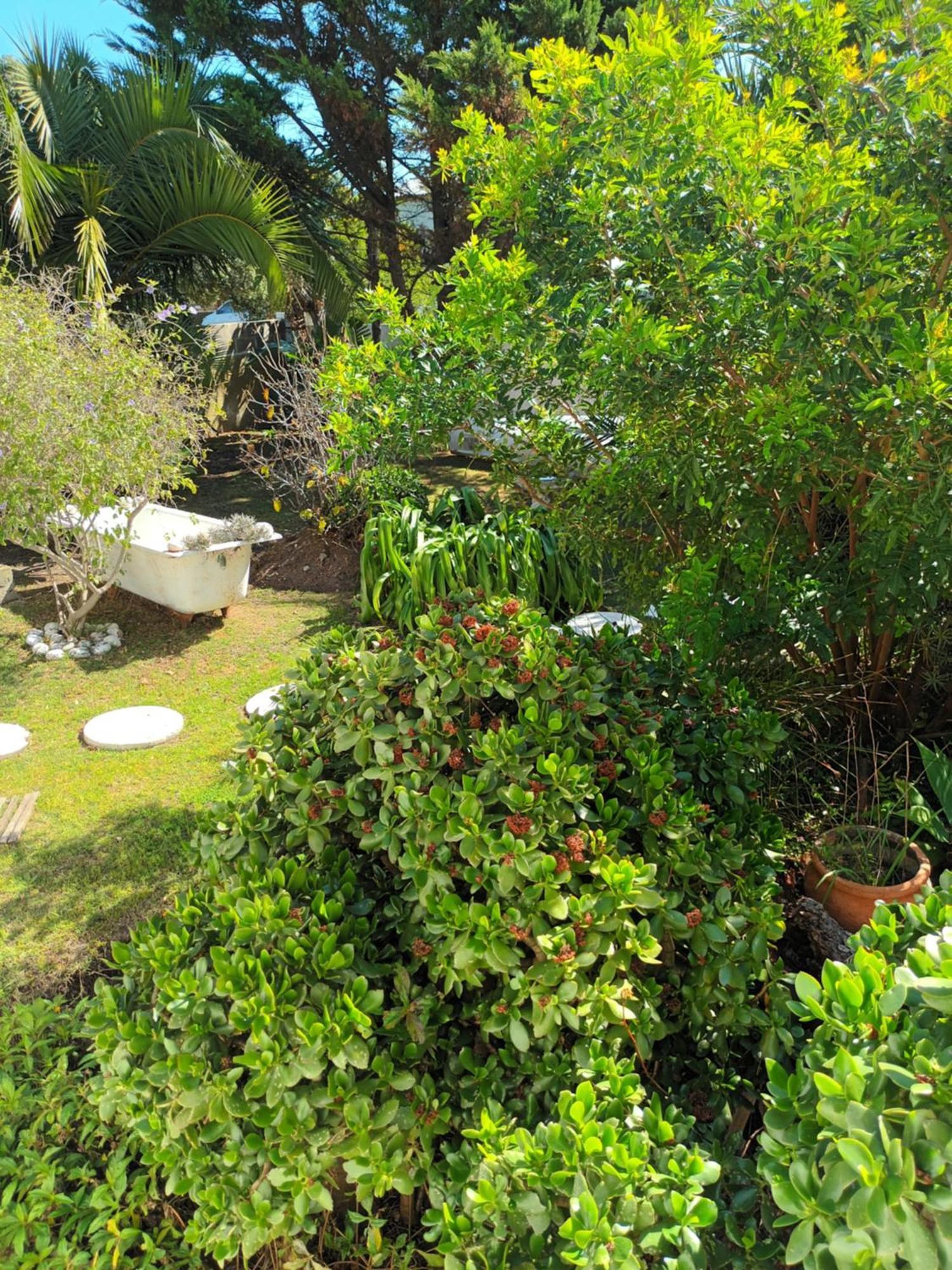 Self Catering Unit 6, Sandbaai Hermanus Kamer foto